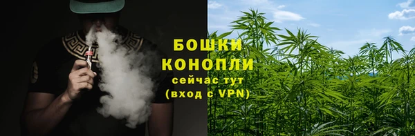 эйфоретик Козельск