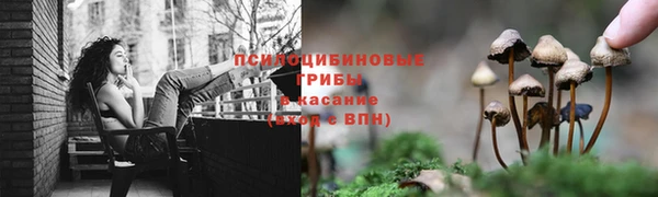 2c-b Коряжма