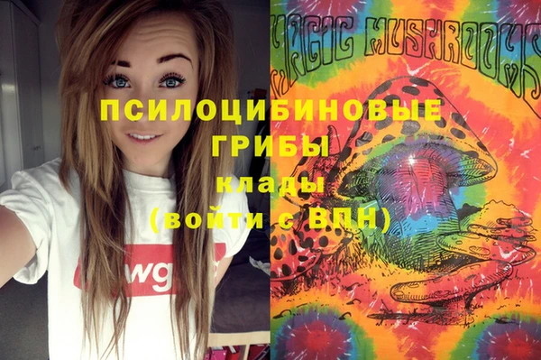 2c-b Козловка