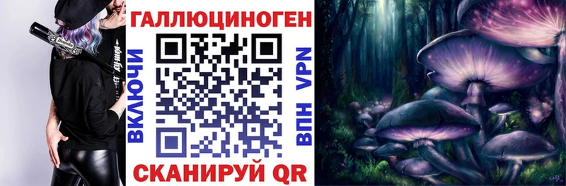 блэк спрут как войти  купить   Ногинск  Галлюциногенные грибы GOLDEN TEACHER 